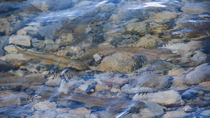 surface of water