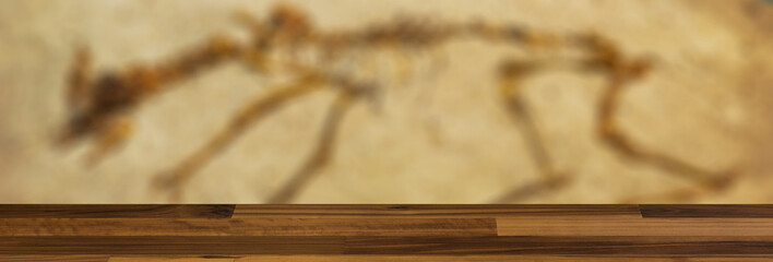 blank wooden table. Flooring. Animal skeleton on the sand. Background