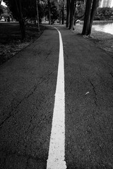 asphalt road in the park black and white style