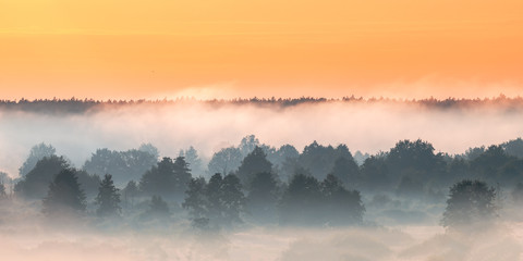 Misty Landscape. Scenic View. Morning Sky Over Misty Forest. Nat