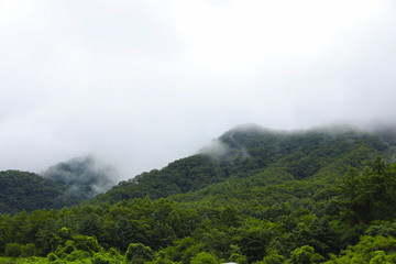 Green mountain and rain cloud for natural background