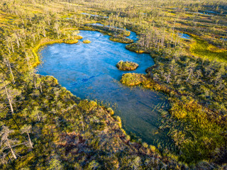 Moody Drone Photo of Colorful Moorland in Early Summer Sunrise