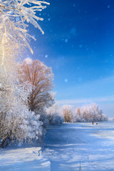 winter Landscape with Frozen lake and snowy trees