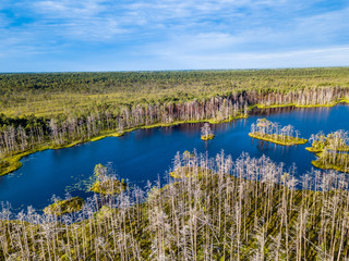 Moody Drone Photo of Colorful Moorland in Early Summer Sunrise