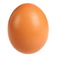 Brown egg whole on white background. Close up