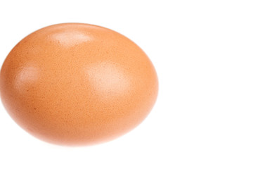 Part of brown chicken egg on white (isolated) background with copy space. Close up