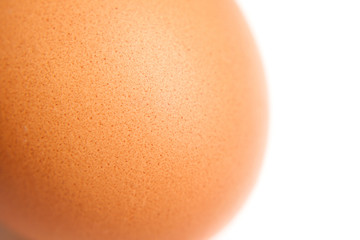 Part of brown chicken egg on white (isolated) background. Close up