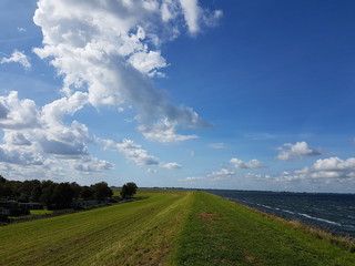 Auf dem Deich