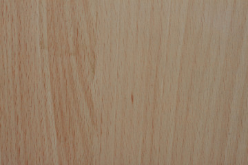 Naklejka premium Texture of Oak wood for background.