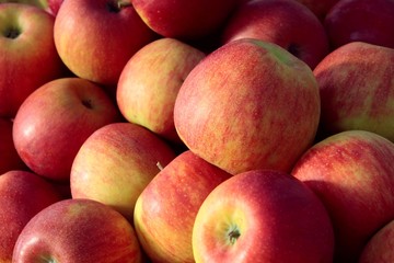 Fototapeta na wymiar tasty,red apples close up