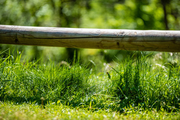 Fototapeta na wymiar old wooden fence in garden at countryside