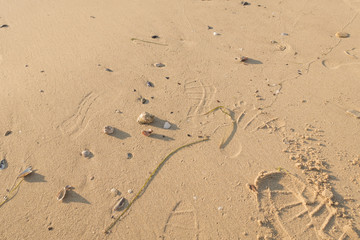 Footprints sea sand background