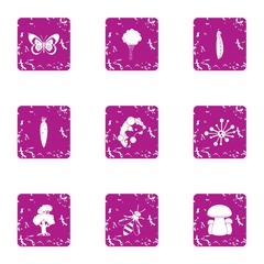 Resident of timber icons set. Grunge set of 9 resident of timber vector icons for web isolated on white background