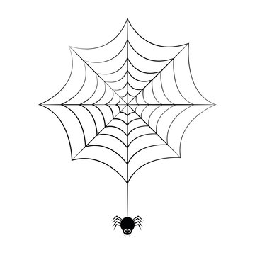 little black spider hangs on cobweb