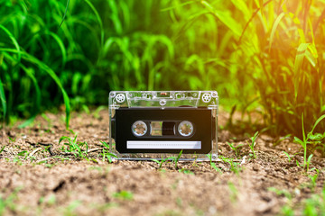 vintage audio cassette tapes on the floor in the garden.