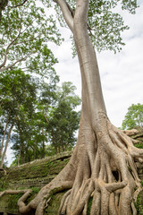 a temple in asia for buddha