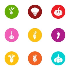 Ecological friendly icons set. Flat set of 9 ecological friendly vector icons for web isolated on white background