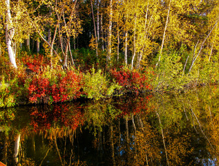 Fall Color Reflection