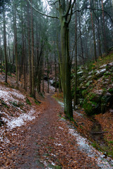 Snowy path in forest with sandstone rocks