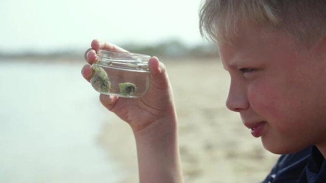 Closeup view of white kid holding glass jar in hands with two alive small crabs. Boy watching with interest at marine creatures. Real time full hd video footage.