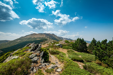 A view of the 