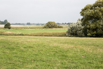 tranquil danish landscape in syddanmark