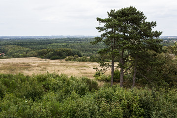 landscape in jylland, denmark