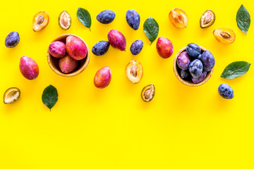 Bright fruitty background. Plum pattern. Red and purple plum and leaves on yellow background top view copy space