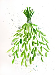 viscum green watercolor illustration  christmas merry - obrazy, fototapety, plakaty