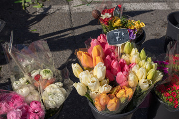 tulips at the market