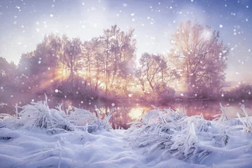 Photo sur Plexiglas Hiver Winter nature landscape in snowfall. Snowy and frosty trees in morning sunlight. Christmas background
