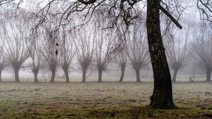 Obraz premium SONY DSC