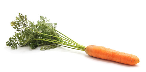 Carrots with leaves.