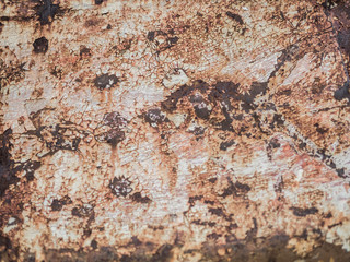 Old rust texture.Grunge background. Distressed wallpaper