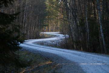 A white ice covered road winds through a dark forest