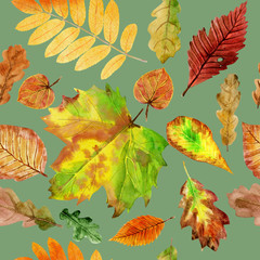 Floral seamless pattern with autumn watercolor leaves
