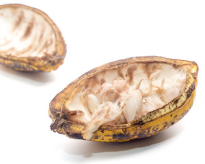 Cocoa pods on a white background.