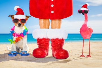 dog and owner as santa claus on christmas at the beach - obrazy, fototapety, plakaty