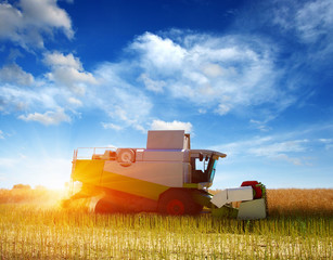  Combine working in field.