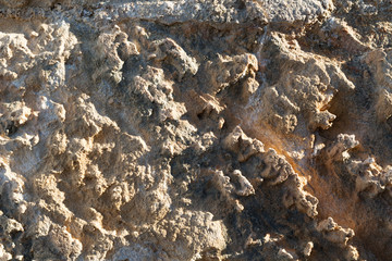 Stone background from sandstone