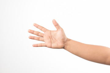 Open the palm of hand