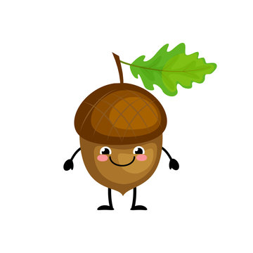 Cute cartoon acorn characters vector illustration isolated on wh vector de Stock | Adobe Stock