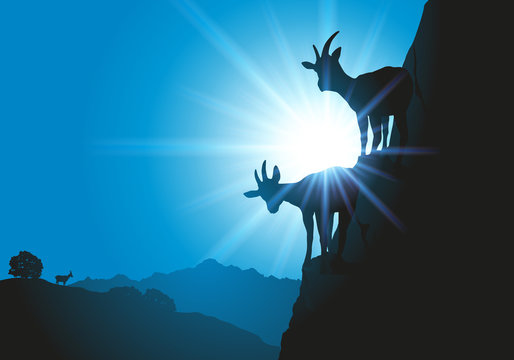 Silhouettes de deux chèvres à flanc de montagne avec une vue sur les alpes à l'horizon.