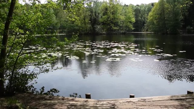 Kesselbruchweiher bei Frankfurt