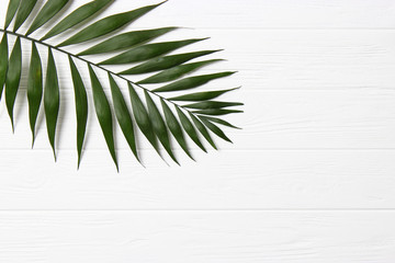 palm leaves on a wooden background with free space for text. a draft for a design. minimalism, creativity. flatlay