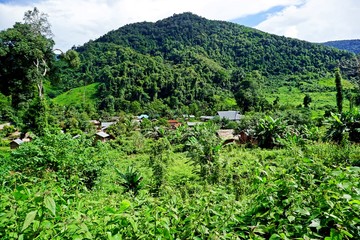 Fototapeta na wymiar isolated Khmu village in the jungle of Luang Namtha province, Laos