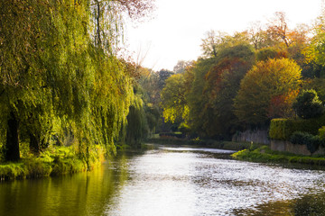 Fototapeta na wymiar The River Wey,Guildford, Surrey,England