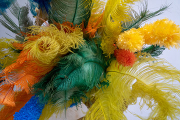 Carnival costume detail
