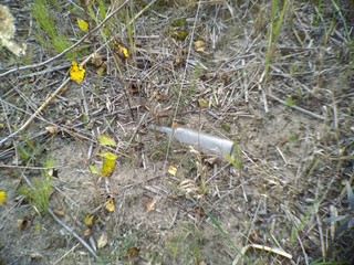 glass bottle in grass