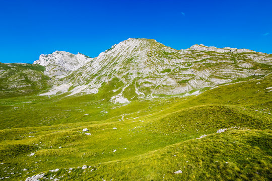 Mountain